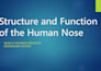 design medical and educational powerpoint presentations